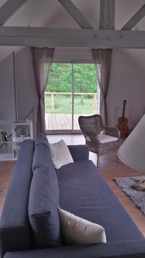 Appartement Des Grands Champs Avec Terrasse แซ็ง-เตญ็อง ภายนอก รูปภาพ
